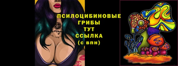 спиды Кулебаки