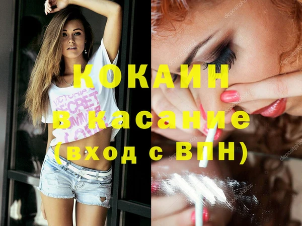 сатива Ессентукская