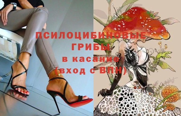 ECSTASY Кукмор