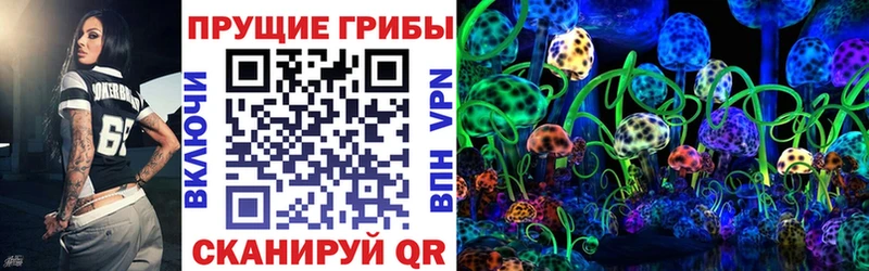 Псилоцибиновые грибы Cubensis  Зеленогорск 