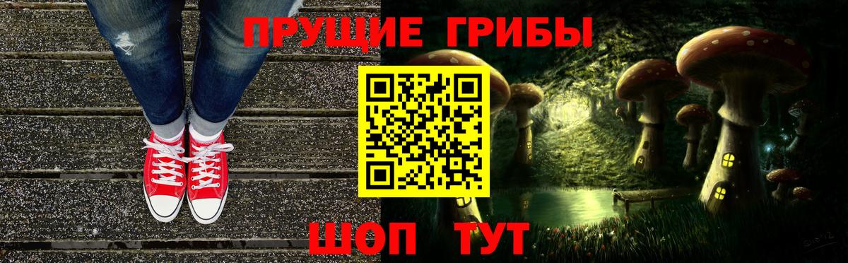 Псилоцибиновые грибы мухоморы  Вход с VPN  Зеленогорск  Псилоцибиновые грибы Cubensis 